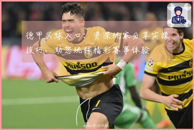 德甲买球入口:资深玩家分享实操技巧,助您玩转精彩赛事体验